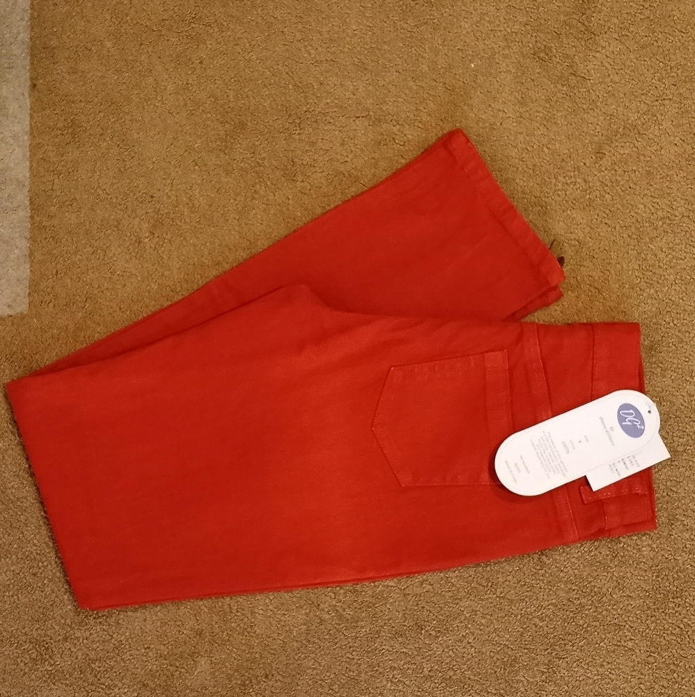 NWT DG2 by Diane Gilman orange rust pants